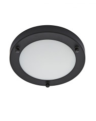 SPA-34049-SATBLKalt02