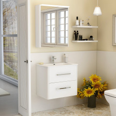 Suburb 600 Double Drawer Wall Hung Cabinet In White