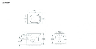 CH10134RTECH